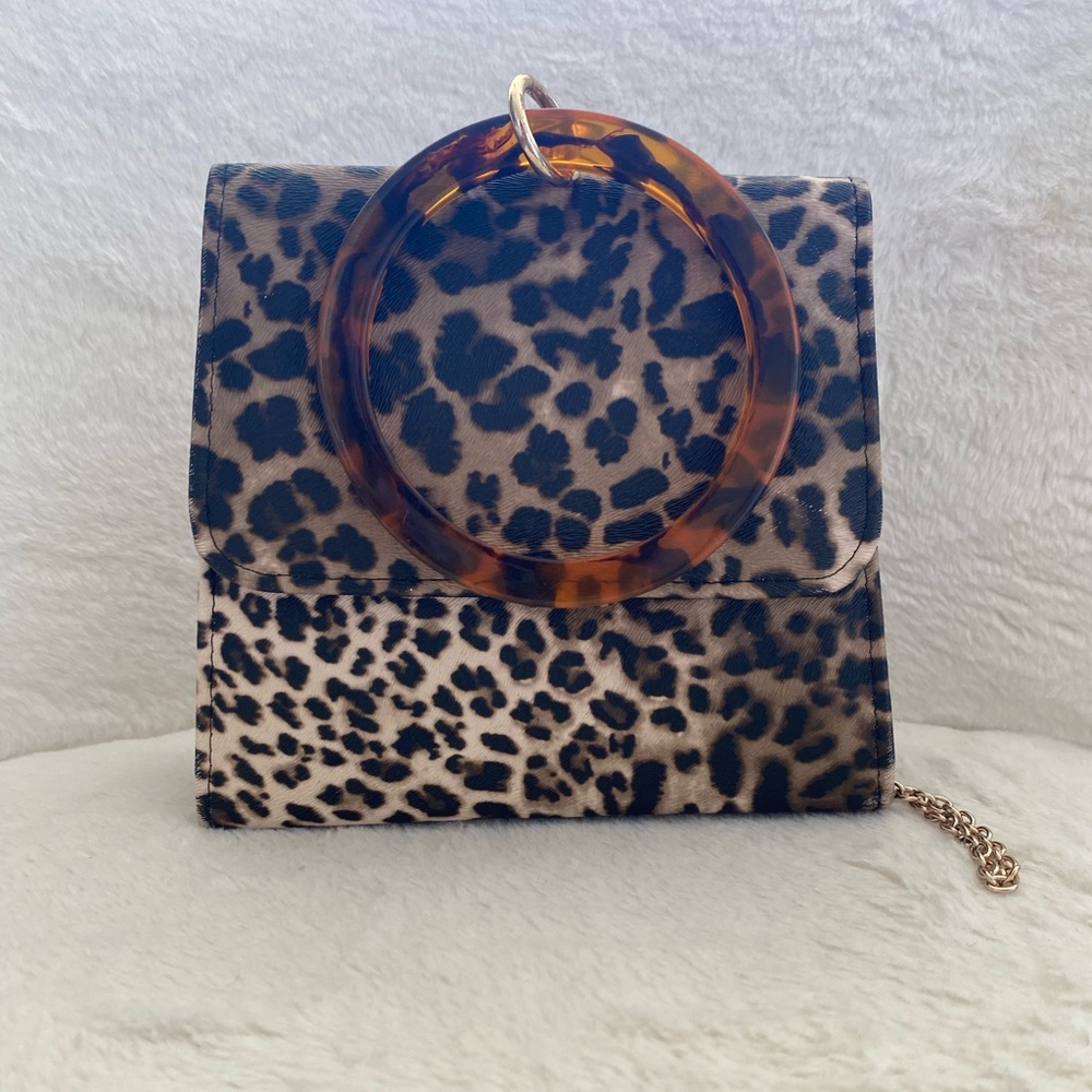 Leopard cute crossbody/clutch